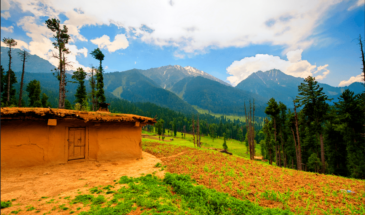 8N/9D Kashmir Vaishnodevi Family Package