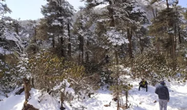 Enjoying in Snow at Madhuri Lake, Tawang in Arunachal Tour Packages