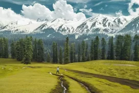 Chiranbal Meadows, Jammu and Kashmir