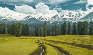 Chiranbal Meadows, Jammu and Kashmir