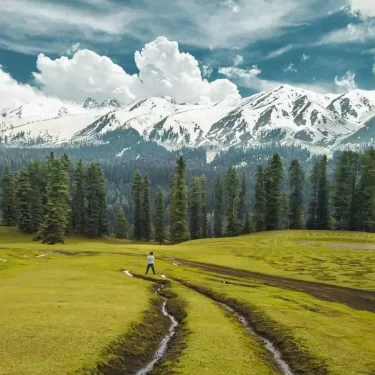 Chiranbal Meadows, Jammu and Kashmir