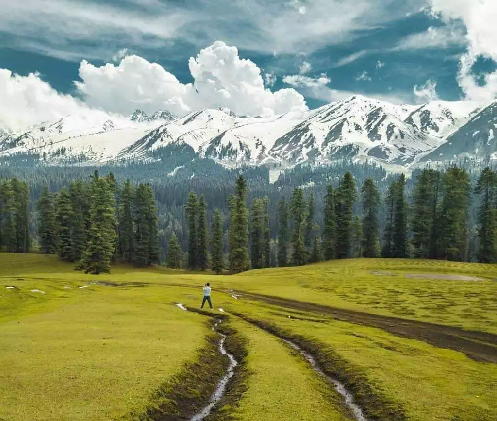 Chiranbal Meadows, Jammu and Kashmir