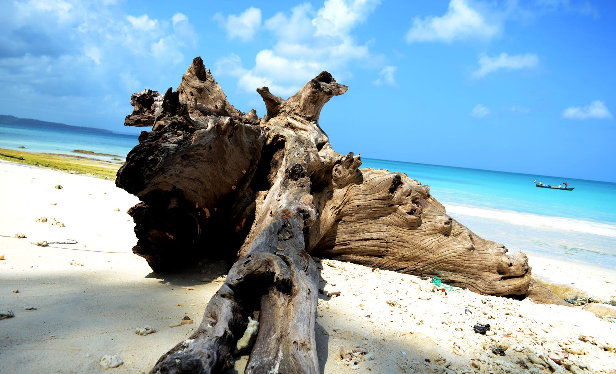 Andaman & Nicobar Islands: Best Holiday Destination in Dura Puja Vacation