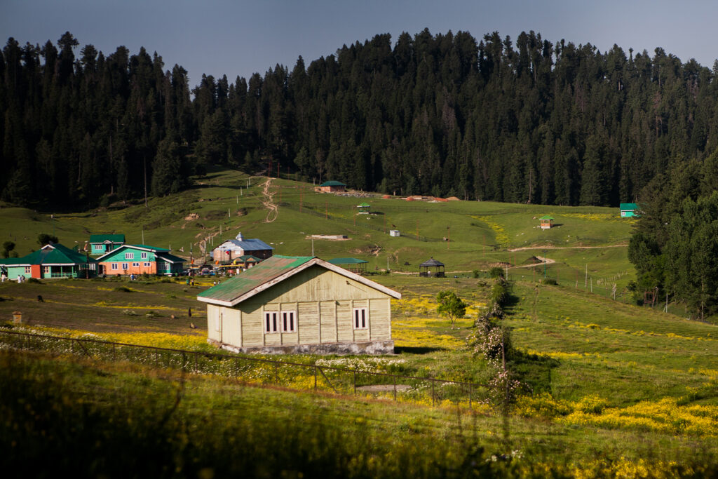 Cedar Forests and Verdant Meadows of Yusmarg, Jammu and Kashmir- Kashmir Tour Package with Yusmarg Excursion