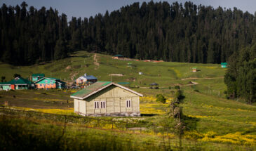 6N/7D Ex Kashmir Tour Package with Yusmarg Excursion and Gulmarg Stay