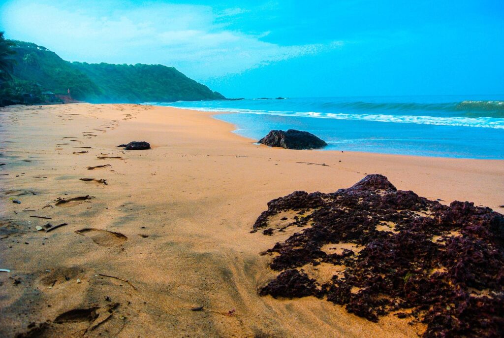 Idyllic view of Cola Beach, a hidden gem in Goa, with palm trees, golden sands, and turquoise waters.