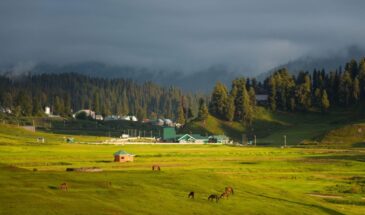Yusmarg, Jammu and Kashmir- Kashmir Tour Package with Yusmarg Excursion
