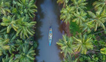 Best Places to Visit in Kerala