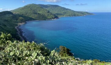 Indians Adopt Transformative Travel Trends in 2024: SkyScanner