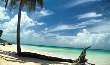 Andaman and Nicobar Islands Tourism Poised for a Transformative Year in 2024, Declares Lt. Governor