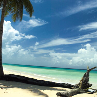 Andaman and Nicobar Islands Tourism Poised for a Transformative Year in 2024, Declares Lt. Governor