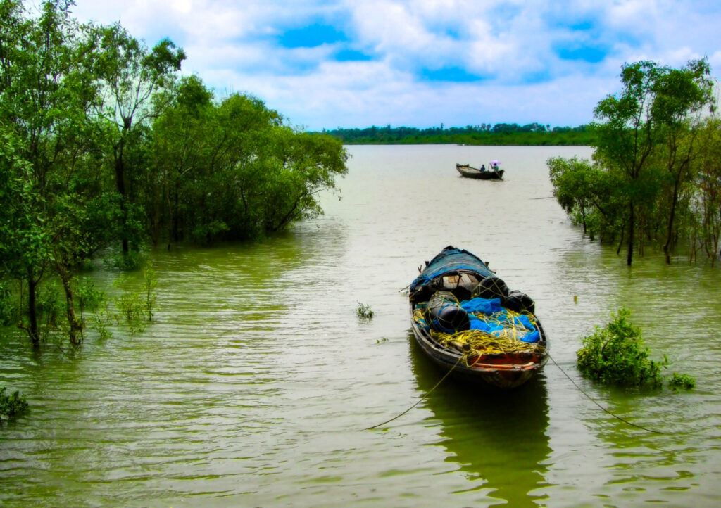 Unprecedented Influx of Tourists in Sundarbans in Bengal Leads to Accommodation Crisis