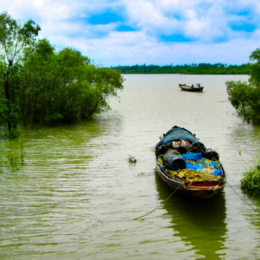 Unprecedented Influx of Tourists in Sundarbans in Bengal Leads to Accommodation Crisis