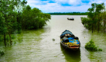 Unprecedented Influx of Tourists in Sundarbans in Bengal Leads to Accommodation Crisis