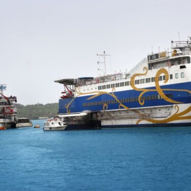 India's Cruise Market Sets Sail for Robust Growth in 2024 Despite Economic Uncertainty