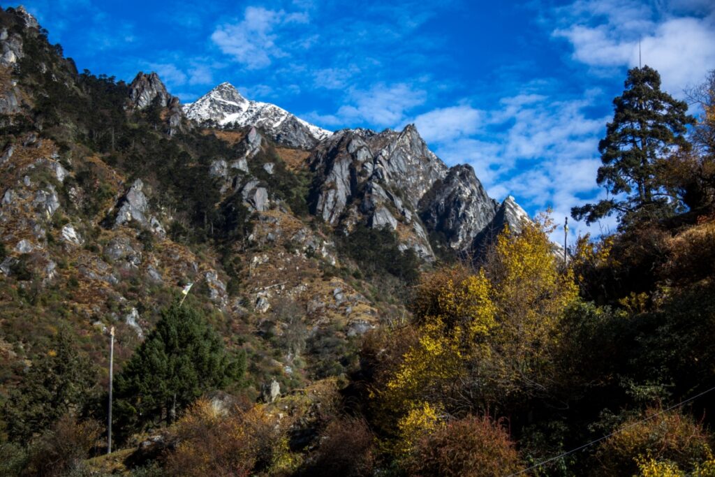 Travel Guide to Mago Village: The Unexplored Alpine Retreat in Arunachal's Tawang