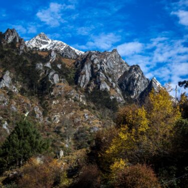Travel Guide to Mago Village: The Unexplored Alpine Retreat in Arunachal's Tawang