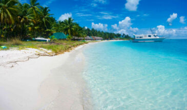 Bangaram's Coconut-fringed Shore, White Sandy Beach, and Sunlit Aqua Waters