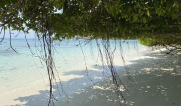 North Reef Island Beaches of Super White Coral Sands: Discover the Arctic Blue Magic of North Reef Island on a Hidden Island Hopping Escapade in the Andamans