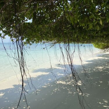 North Reef Island Beaches of Super White Coral Sands: Discover the Arctic Blue Magic of North Reef Island on a Hidden Island Hopping Escapade in the Andamans