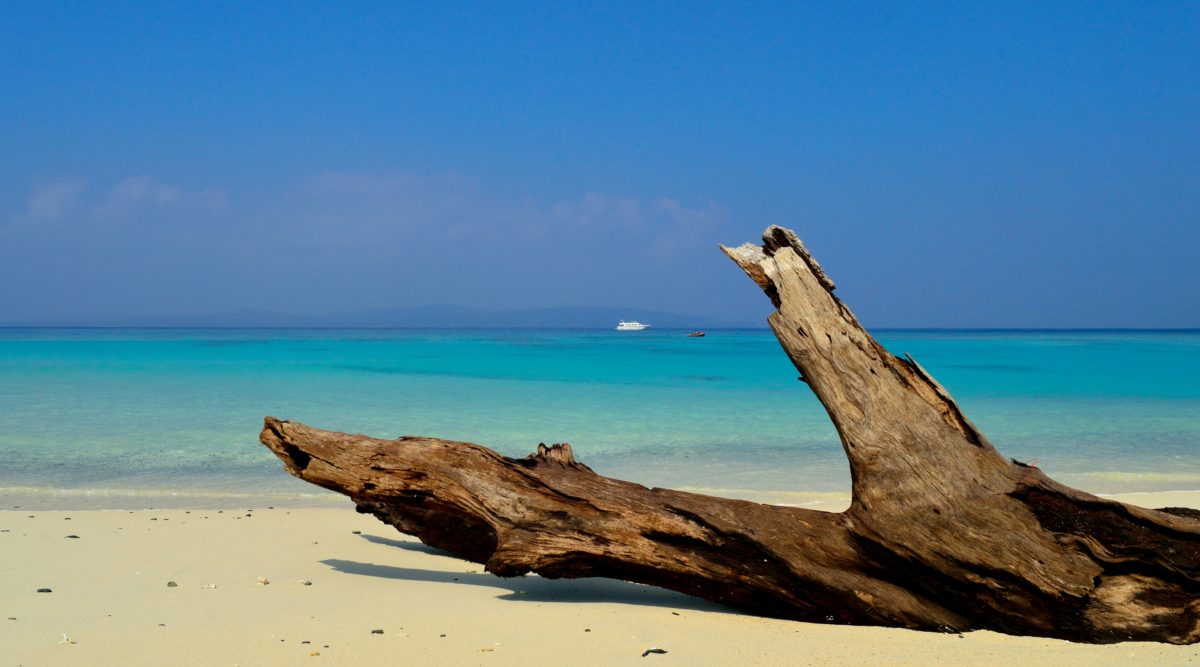 Exploring the Best Beaches in the Andaman & Nicobar: Both Popular and Hidden Gems