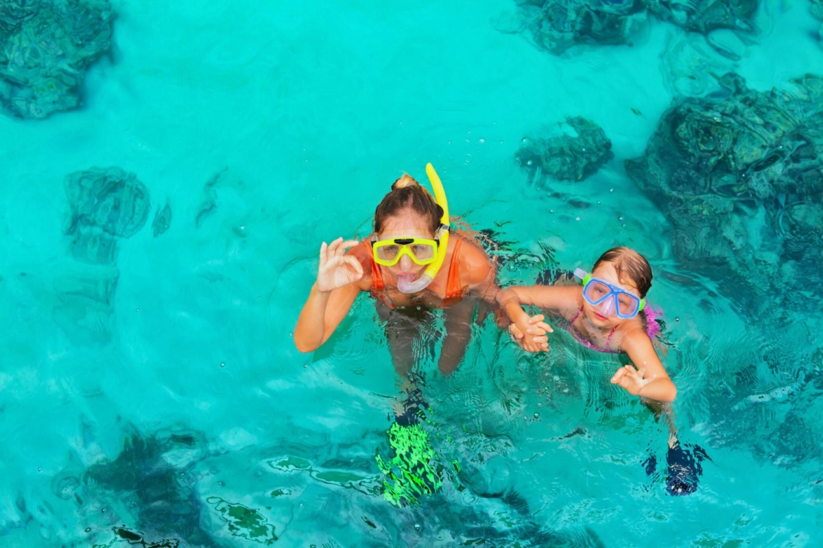 So Crystal Clear Waters around the Aves Island, Andamans that right from the dinghy you will have a clear glimpse of the stunning live coral gardens and other marine life. Snorkelling Haven