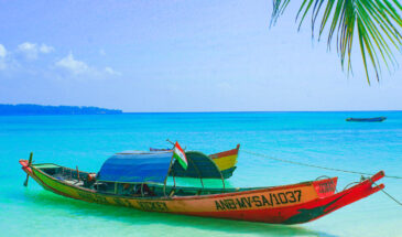 Top Island-hopping Tours in the Andaman Islands