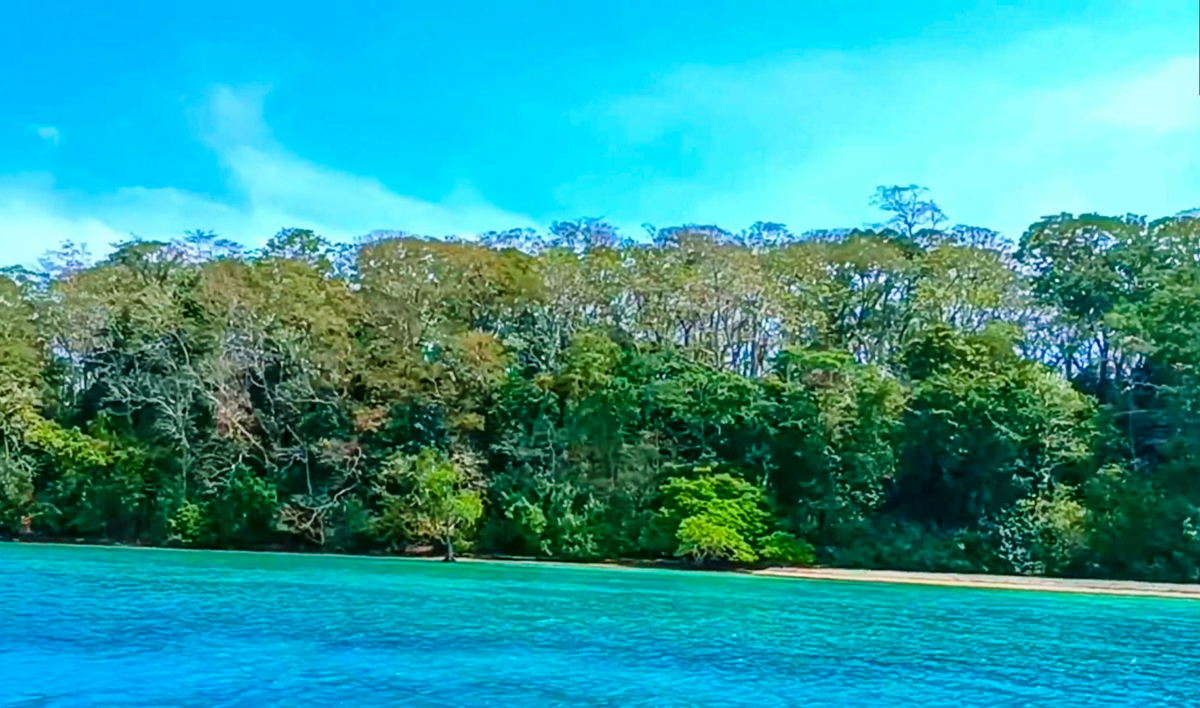 Sound Islands in the Andamans has A tiny beach, at its south western tip, surrounded by thick jungle with stunning Maya Blue color waters. This the embarking point for the tourists. It is a guided tour.