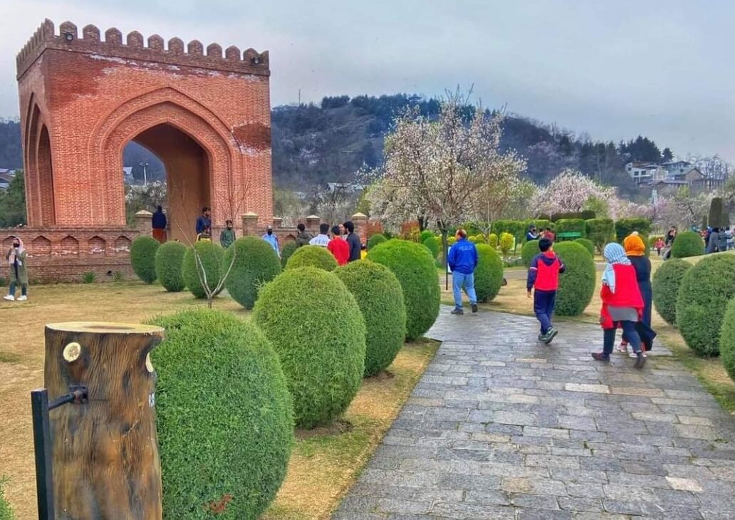 Badam Vaer or Badamwari Garden, Downtown, Srinagar, Kashmir is famous for its sprawling gardenscapes- specially in the springtime with its almond trees in full-bloom.