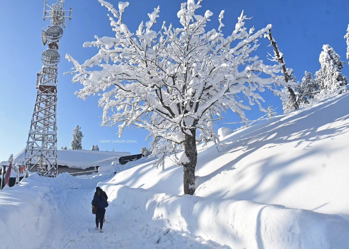 Kashmir Snowfall in March, Gulmarg