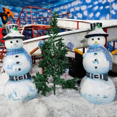 Snow Park Kolkata at Axis Mall, New Town