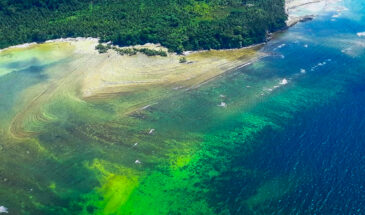 4N/5D Havelock and Neil Islands Andaman Express
