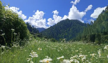 Great Himalayan National Park, Himachal Pardesh