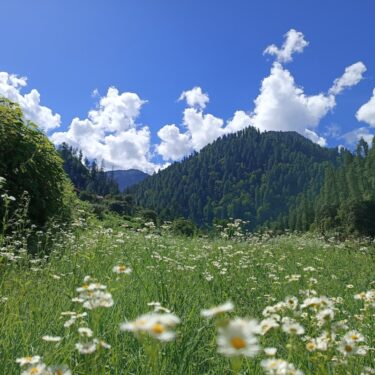 Great Himalayan National Park, Himachal Pardesh