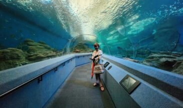 6 Nights 7 Days Phuket & Krabi Itinerary (Ex-Phuket)