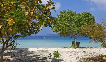 7N/8D Amazing Andaman Family Package with Havelock and Neil