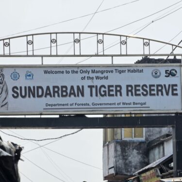 Sunderban Tiger Reserve Entry Fees to Increase from September 2024