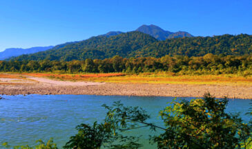 Manas National Park (Assam)