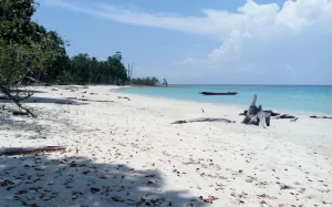Lalaji Bay Beach, Long Island