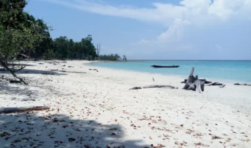 Lalaji Bay Beach, Long Island