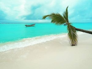 Lakshadweep Tour Packages by SetMyTrip: Kadmat Island Beach