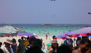 Pattaya Coral Island Beach, Thailand Tour Packages SetMyTrip