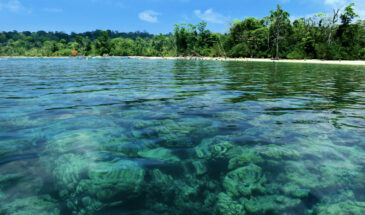 Off Elephant Beach Havelock: Swaraj Dweep Tour Packages