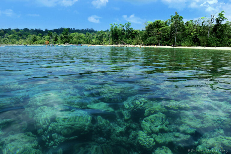 Off Elephant Beach Havelock: Swaraj Dweep Tour Packages