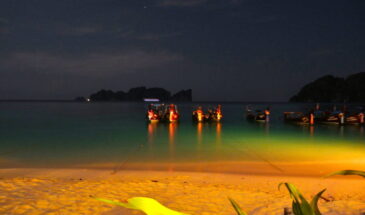 Phi Phi Island Beach at Night: SetMyTrip's Thailand Packages