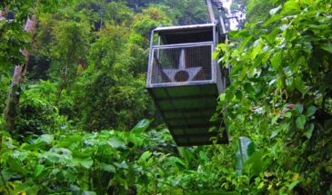 World’s First Ropeway Wildlife Safari to Launch in Tadoba Andhari Tiger Reserve
