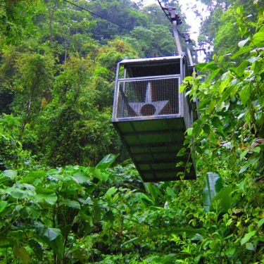 World’s First Ropeway Wildlife Safari to Launch in Tadoba Andhari Tiger Reserve