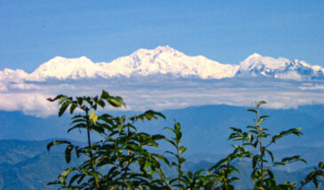Kanchenjunga View from Darjeeling: SetMyTrip's Sikkim Holiday Packages