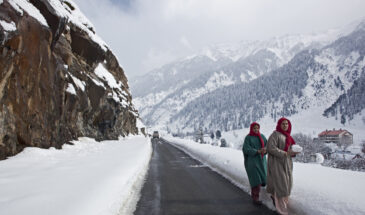 Experience the Snow Clad Landscapes in the curated Kashmir Winter Tour Packages by SetMyTrip