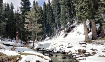 Experience the Snow Clad Landscapes in the curated Kashmir Winter Tour Packages by SetMyTrip